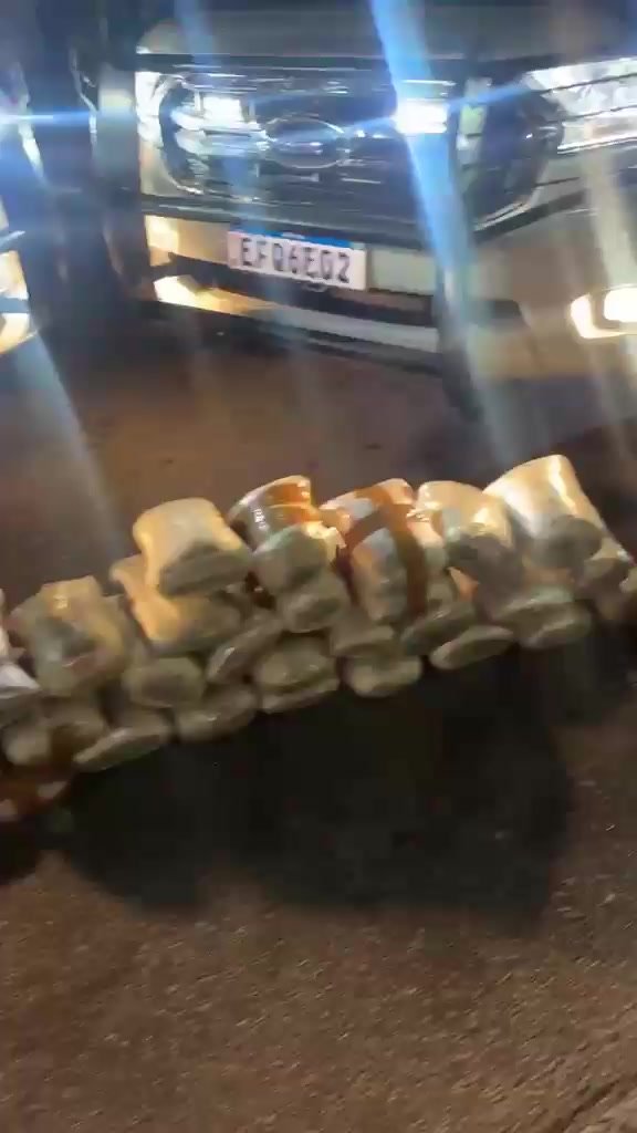 Polícia encontra 74 tijolos de maconha em ônibus