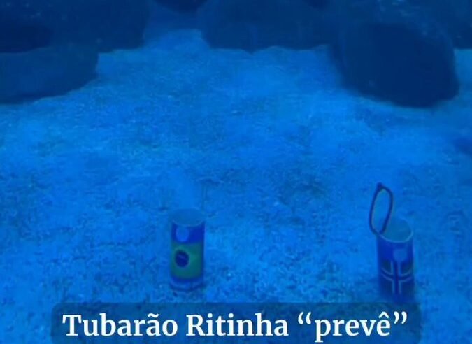 Tubarão Ritinha escolhe bandeira do Brasil