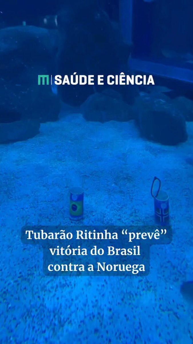 Tubarão Ritinha escolhe bandeira do Brasil