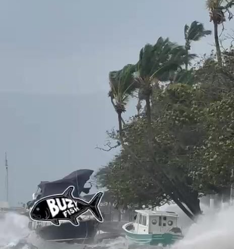 Imagens da força de vento no litoral norte