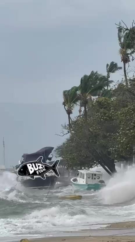 Imagens da força de vento no litoral norte