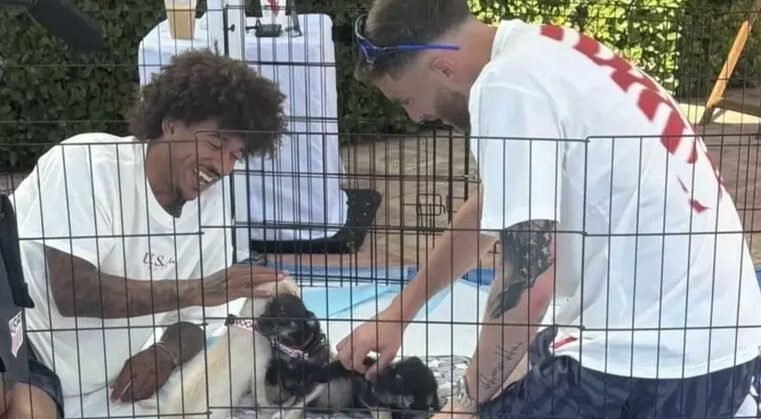 Seleção dos EUA usa terapia canina na Copa