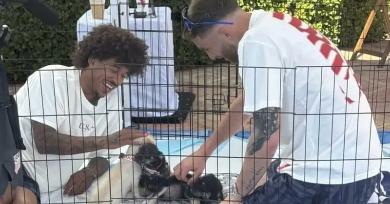 Seleção dos EUA usa terapia canina na Copa