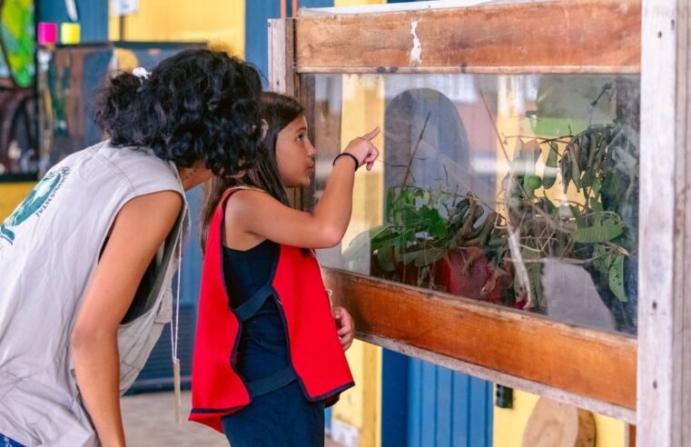 Bertioga oferece minicurso sobre vida marinha