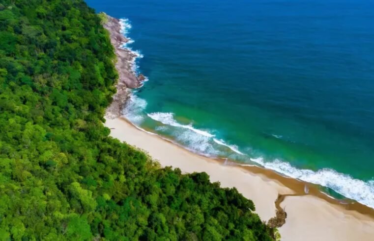 Praia Brava de Boiçucanga é refúgio em São Sebastião