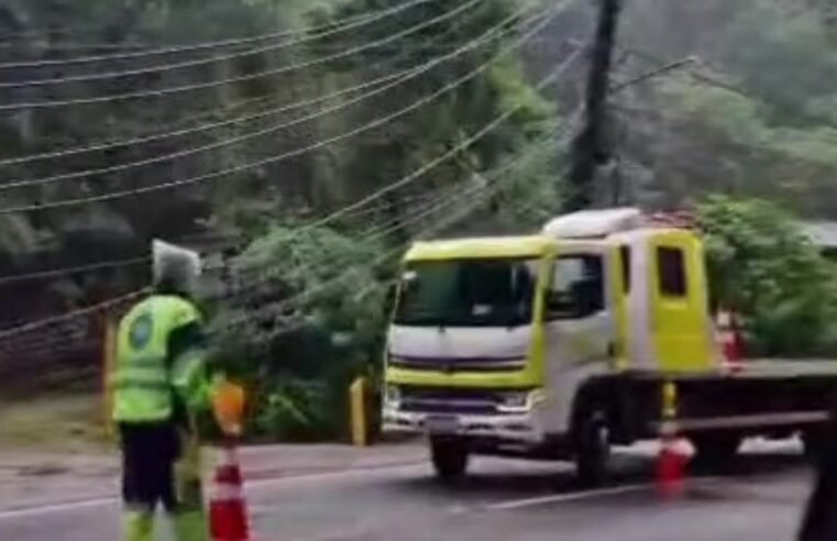 Barranco em Maresias derruba quatro postes na rodovia