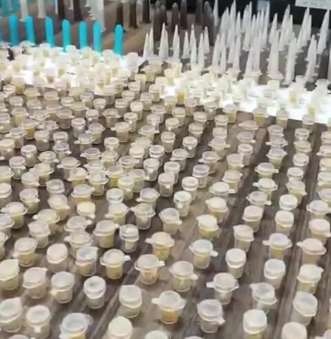 Guarda municipal prende traficante e apreende 2,6 kg