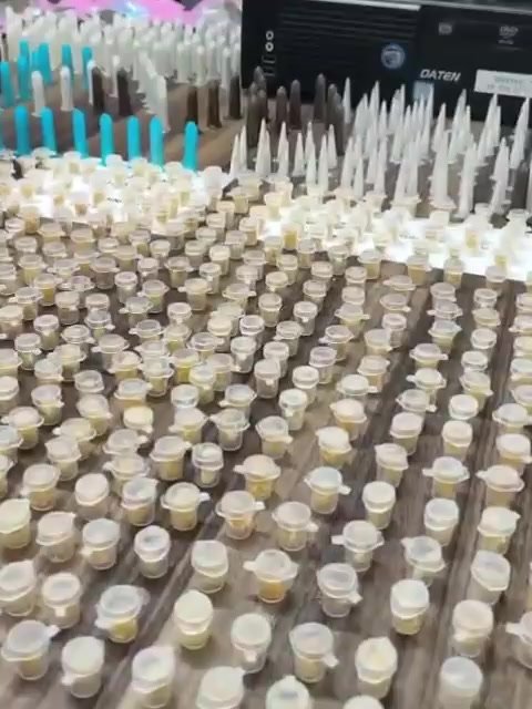 Guarda municipal prende traficante e apreende 2,6 kg