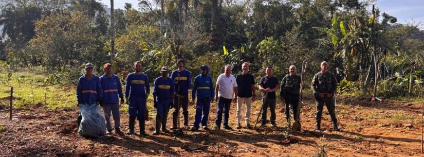 Caraguatatuba planta mais de 70 mudas nativas
