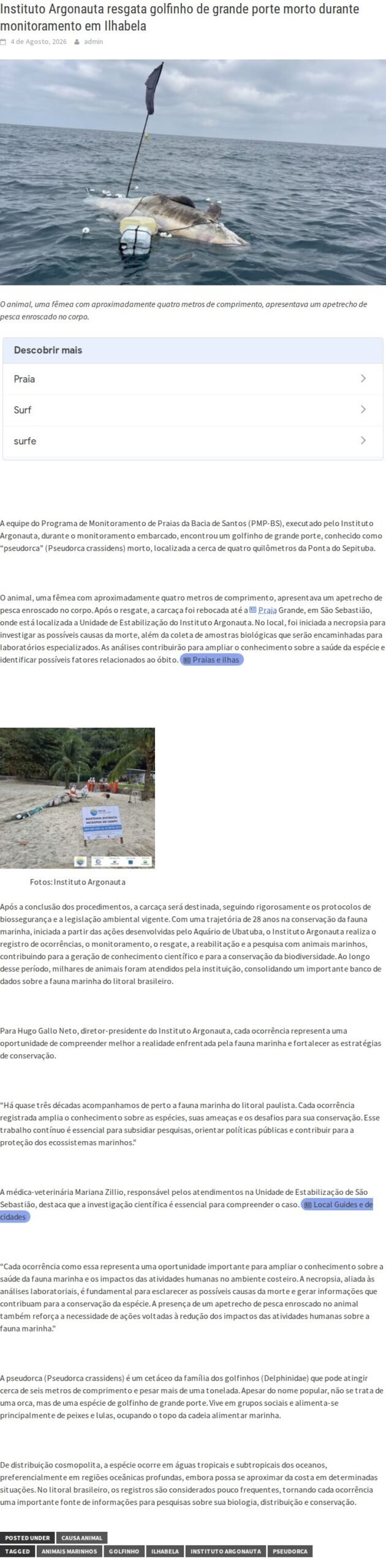 Instituto Argonauta resgata golfinho morto em Ilhabela