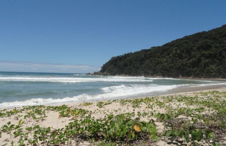 Praia Brava do Camburi é destino preservado no Litoral