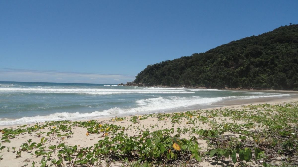 Praia Brava do Camburi é destino preservado no Litoral