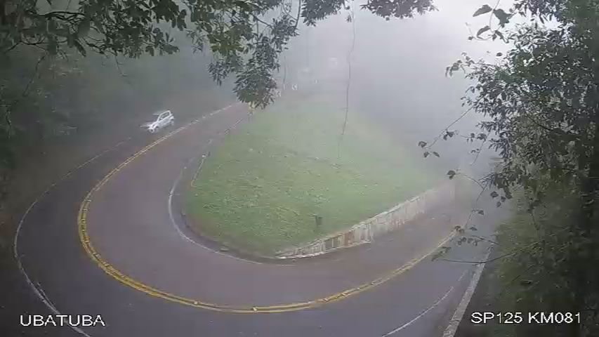 Rodovia Oswaldo Cruz tem neblina e baixa visibilidade
