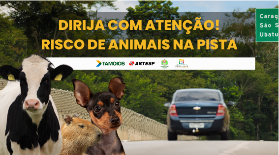STJ obriga concessionária a proteger fauna