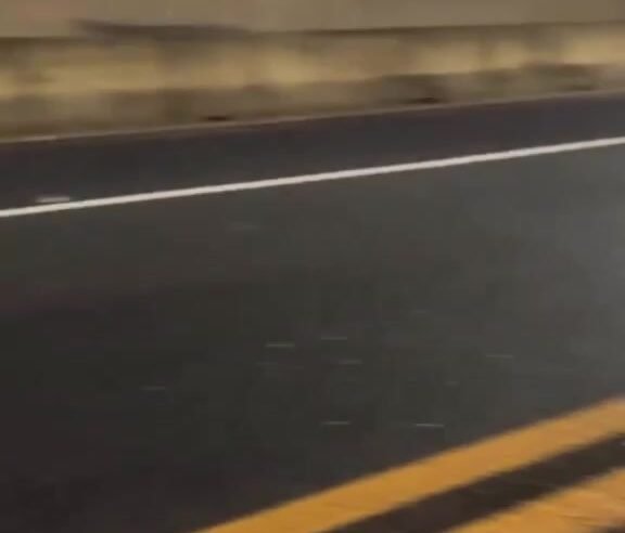 Cavalo na pista causa acidente e fere motociclista