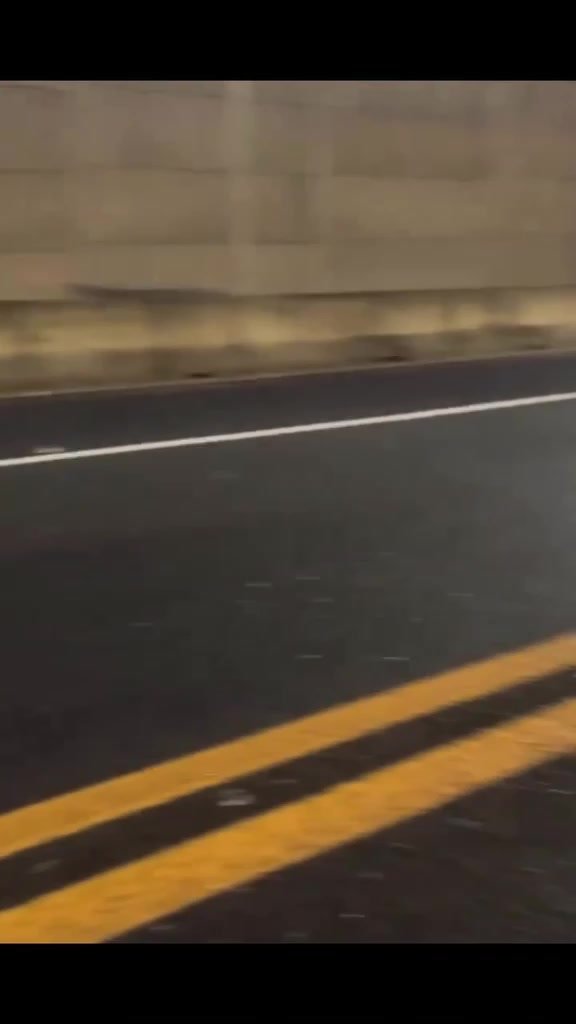 Cavalo na pista causa acidente e fere motociclista
