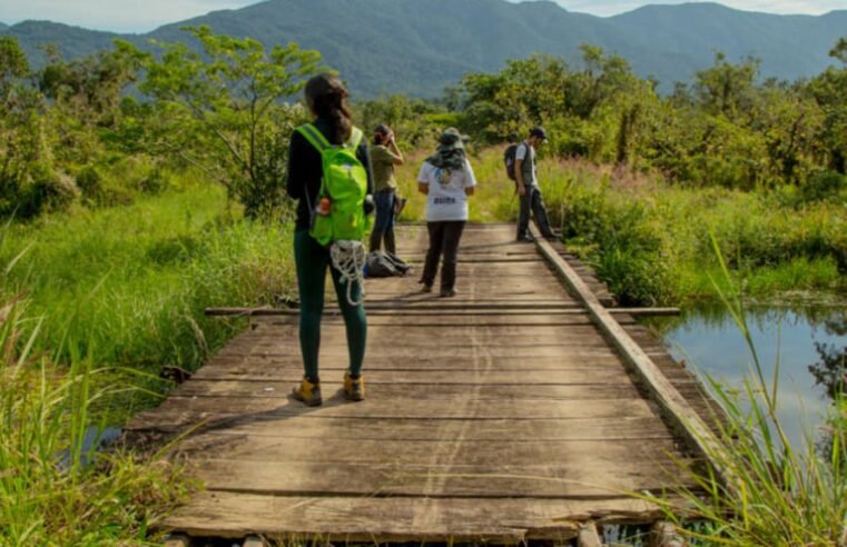 Trilha em Bertioga leva a cachoeira na Mata Atlântica