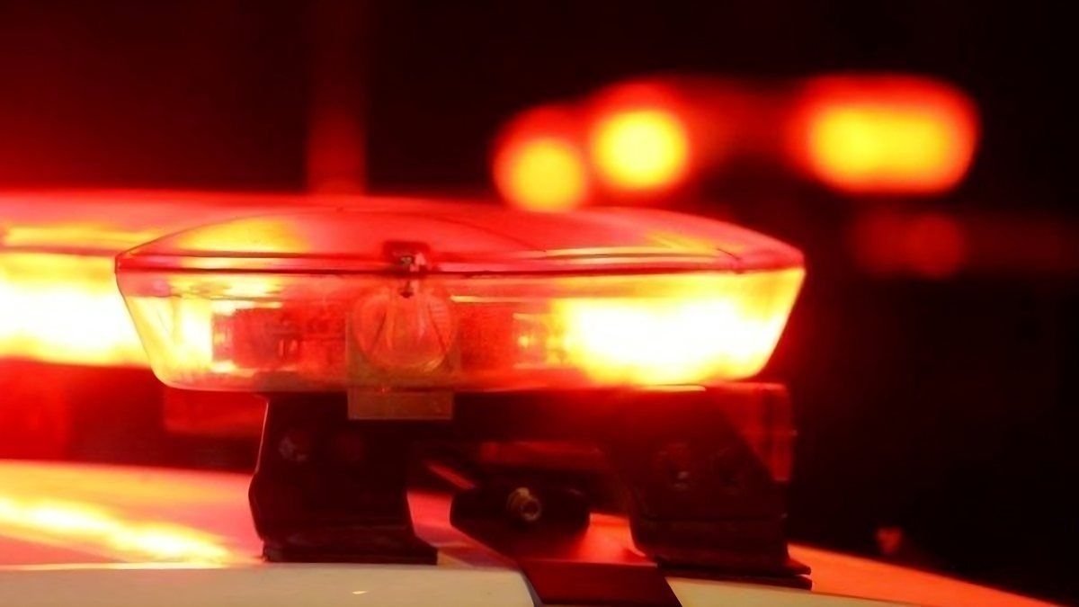 Homem ataca polícia com facão e é taserizado