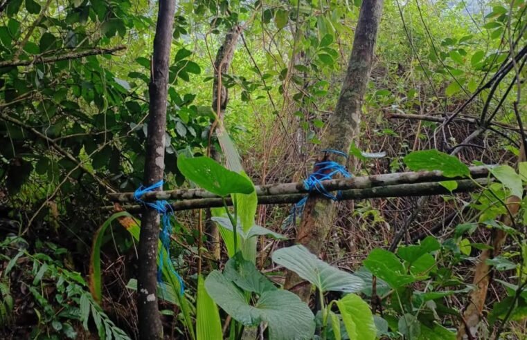 *POLÍCIA AMBIENTAL LOCALIZA ARMAS E INDÍCIOS DE CAÇA