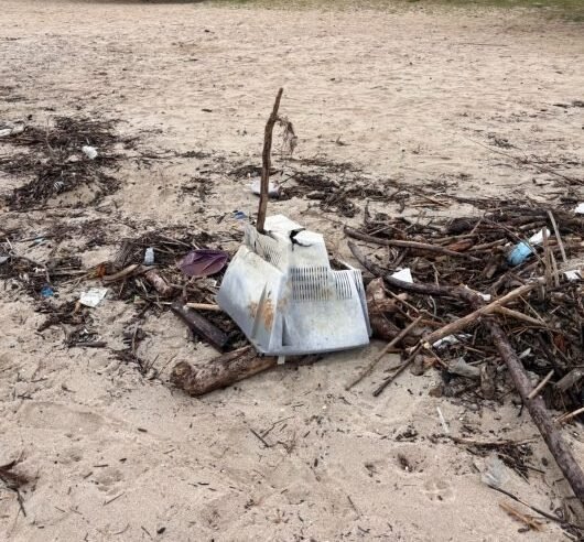Mutirão limpa praias de Caraguatatuba e destaca lixo