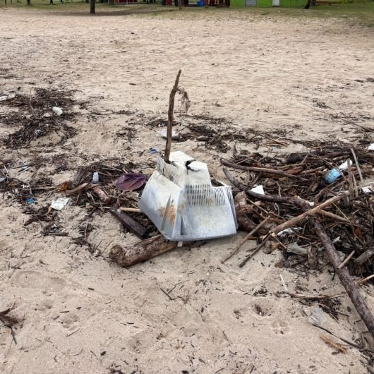 Mutirão limpa praias de Caraguatatuba e destaca lixo