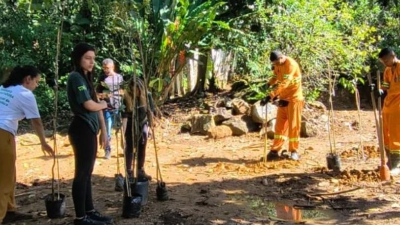 Ubatuba planta 30 mudas nativas em área degradada