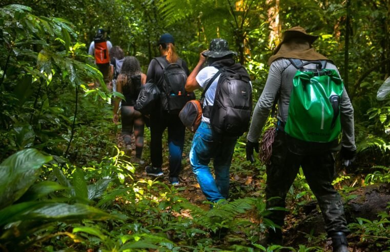 Parque da Restinga oferece trilhas e cachoeiras em Bertioga