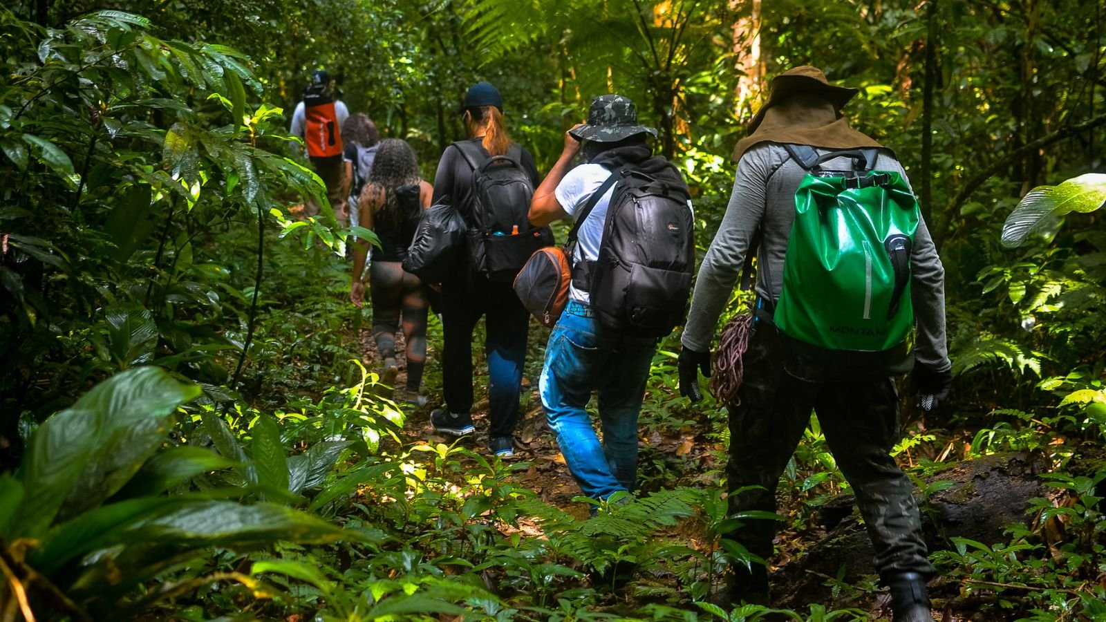 Parque da Restinga oferece trilhas e cachoeiras em Bertioga