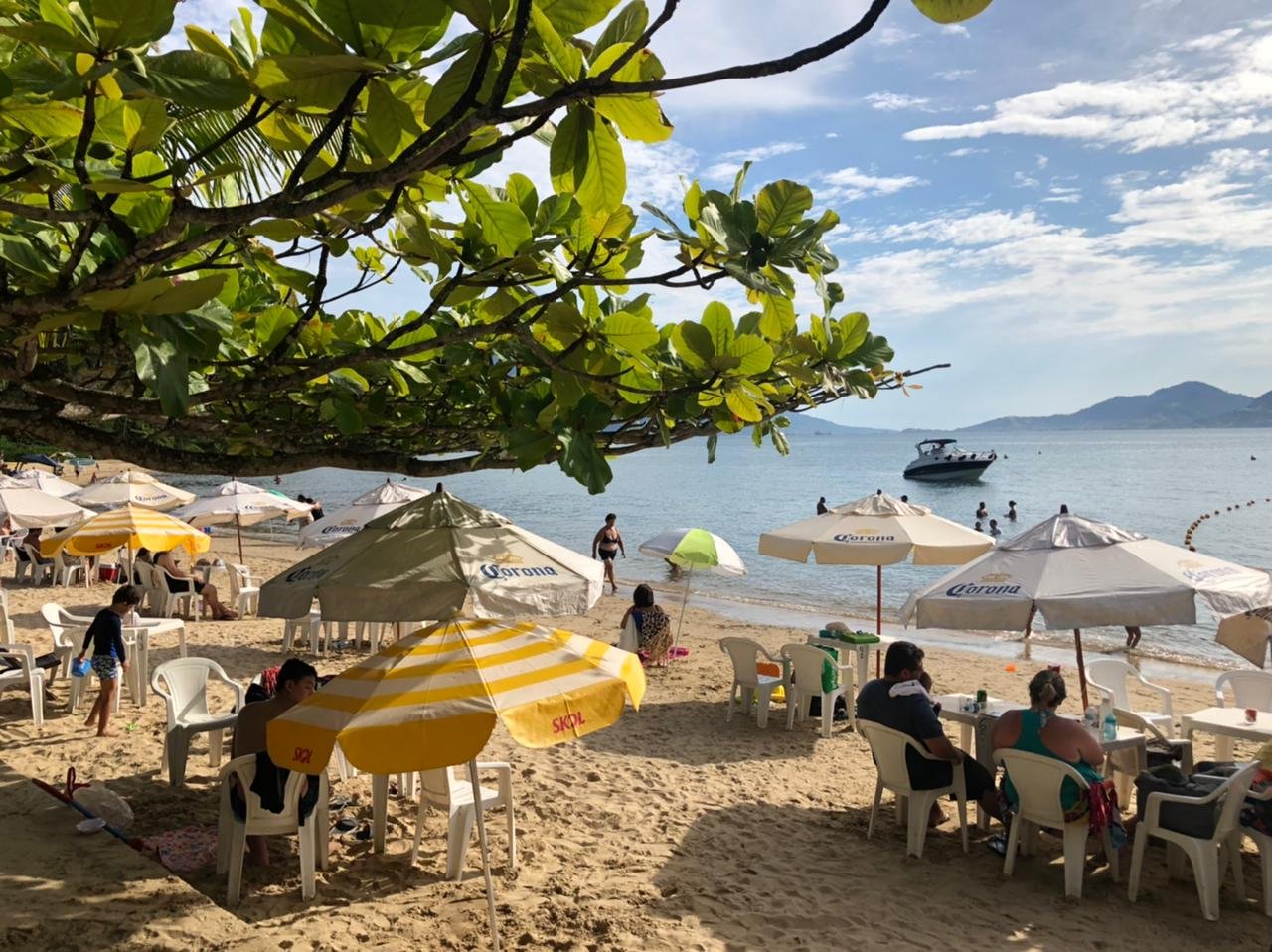 CETESB declara 25 praias impróprias no Litoral Norte