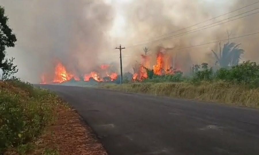 O estado do Amazonas registrou 1.380 focos de queimadas nos primeiros dez dias…