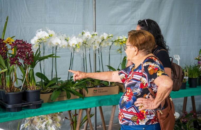 Caraguatatuba recebe 46ª Exposição de Orquídeas com 2.210 visitantes