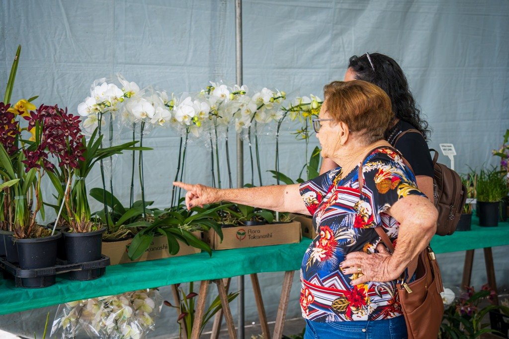 Caraguatatuba recebe 46ª Exposição de Orquídeas com 2.210 visitantes