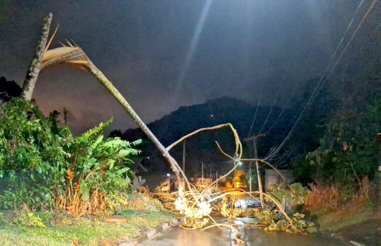 *Defesa Civil de Ilhabela apresenta balanço das ocorrências após