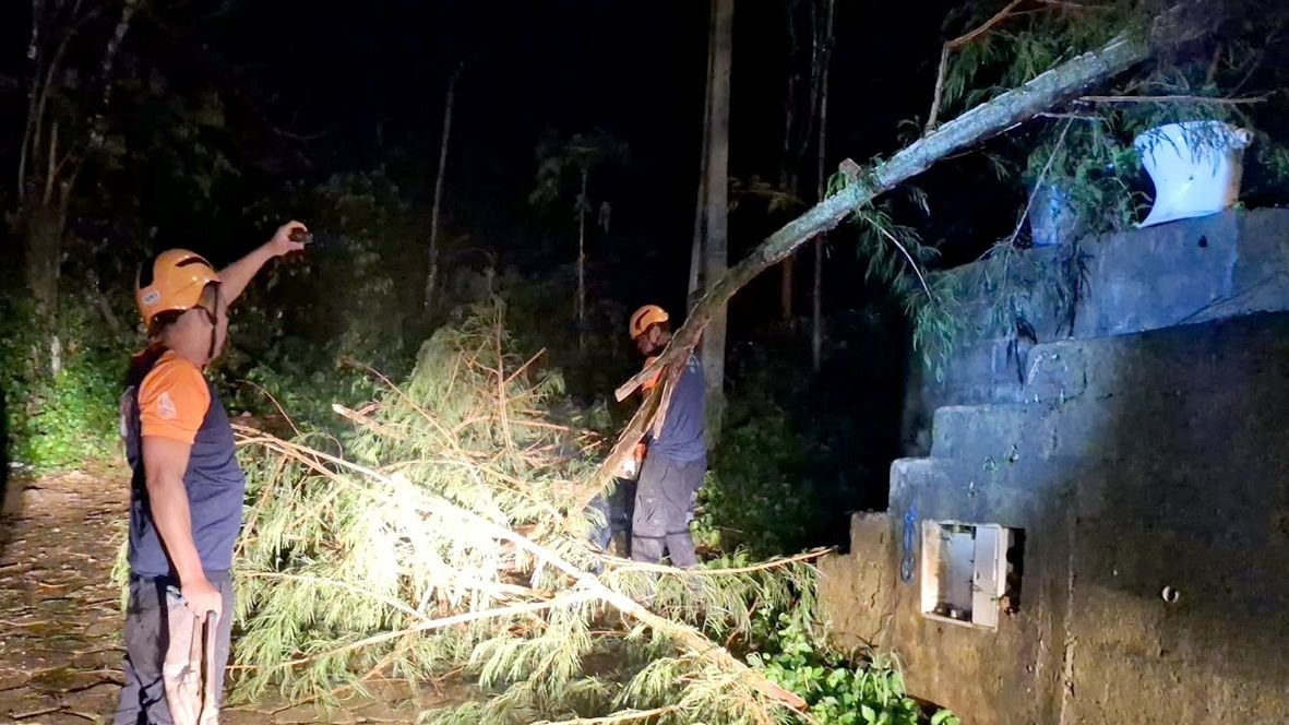 Temporal provoca quedas de árvores e afeta abastecimento