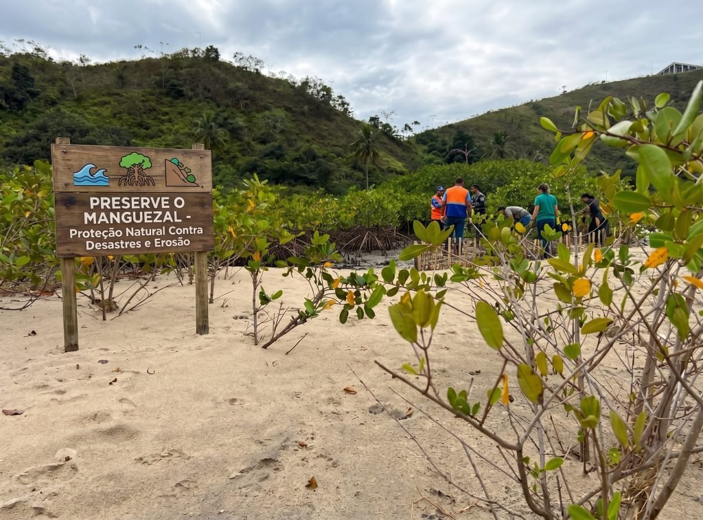 Manguezais de Caraguatatuba protegem a biodiversidade e ajudam