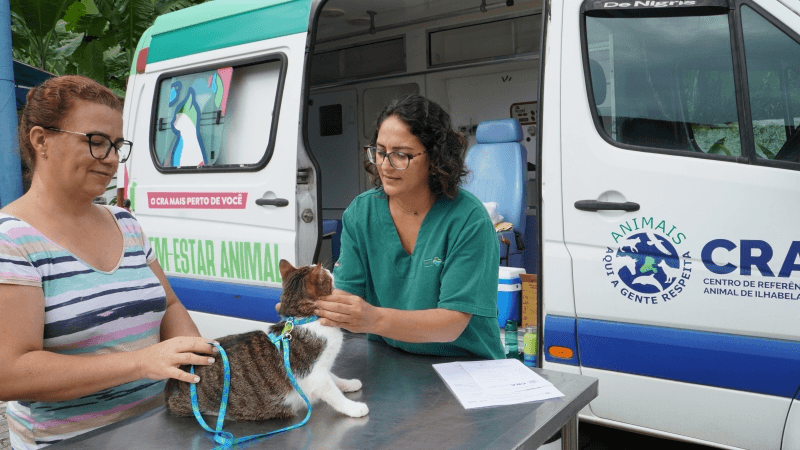 Ilhabela oferece vacinação gratuita para cães e gatos no Green Park