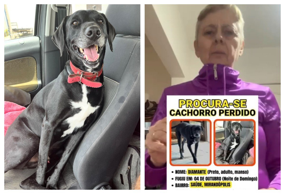 Família procura por cachorro ‘Diamante’