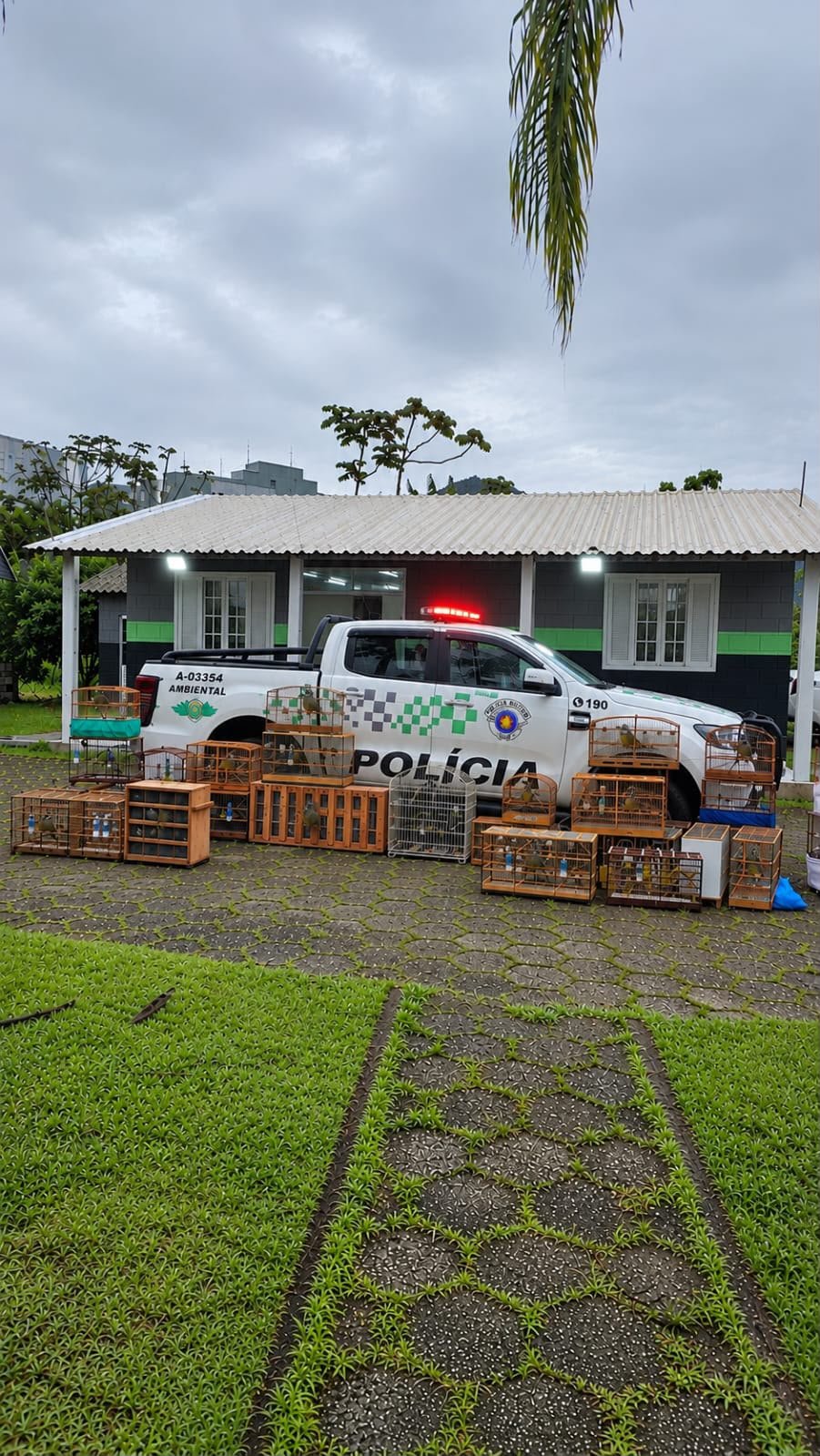 POLÍCIA MILITAR AMBIENTAL APREENDE 58 AVES SILVESTRES E APLICA R$ 141,5 MIL EM MULTAS